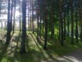 /album/matkan-varrelta/kuva2960-jpg/