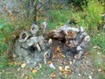 /album/matkan-varrelta/kuva3096-jpg/