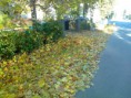 /album/matkan-varrelta/kuva3402-jpg/