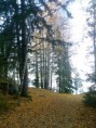 /album/matkan-varrelta/kuva3474-jpg/